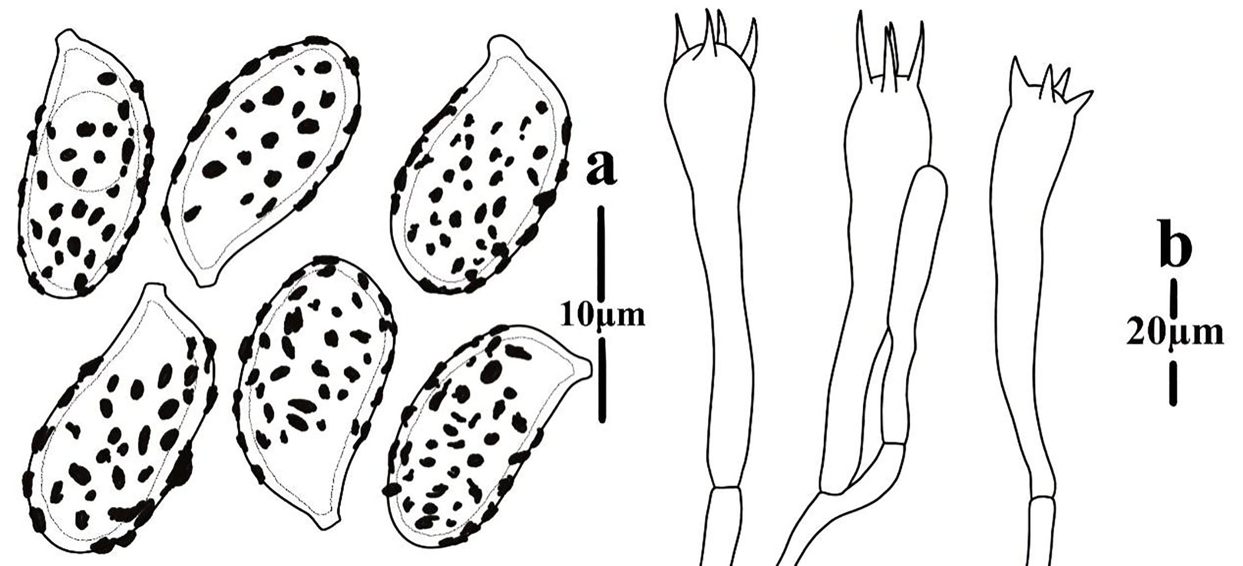 Figure 68
